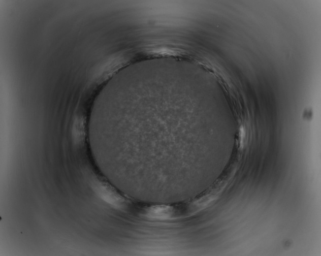 X0000101480410200807141419