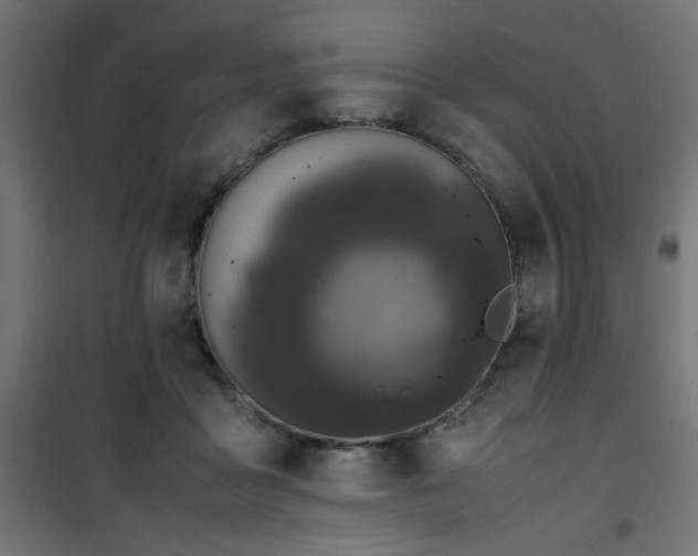 X0000101480411200807141419