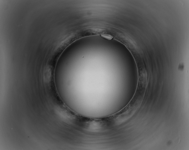 X0000101480412200807141419