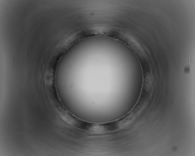 X0000101480413200807141419