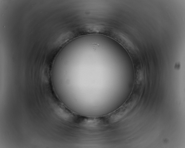 X0000101480414200807141419