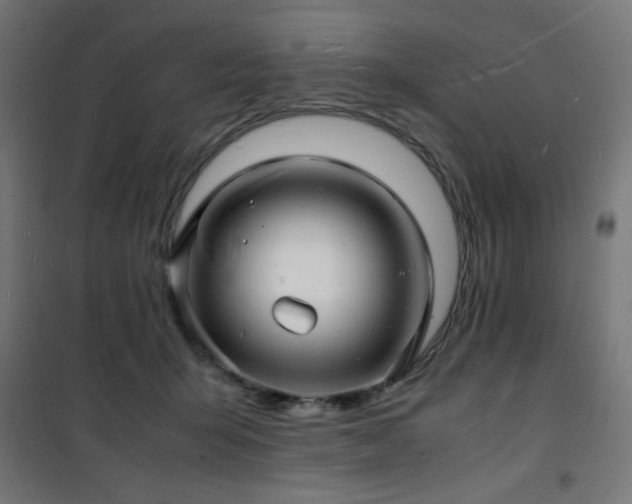 X0000101480415200807141419