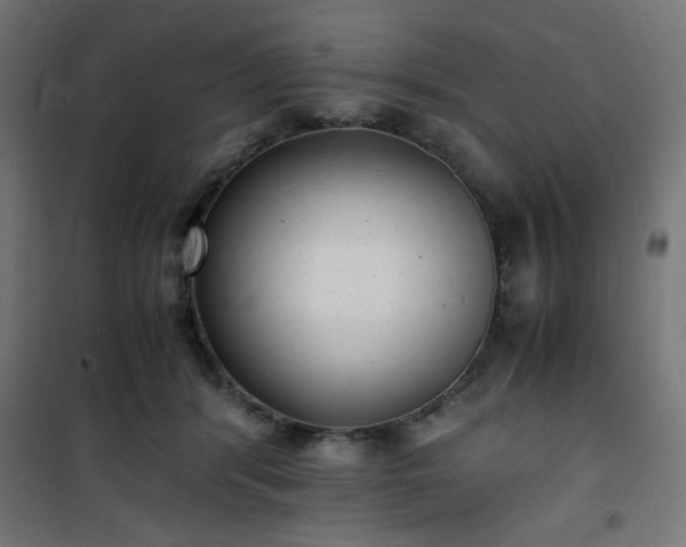 X0000101480416200807141419