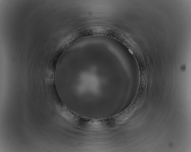 X0000101480419200807141419