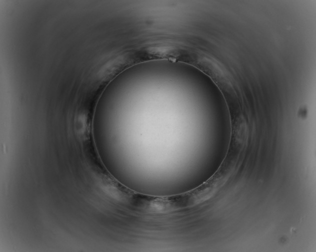 X0000101480420200807141419