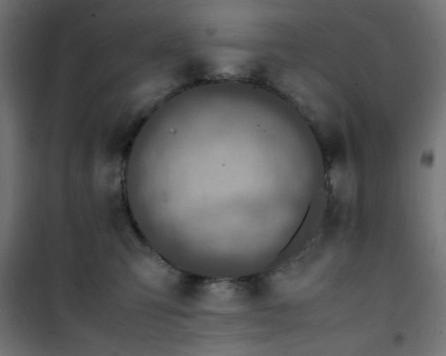 X0000101480423200807141419