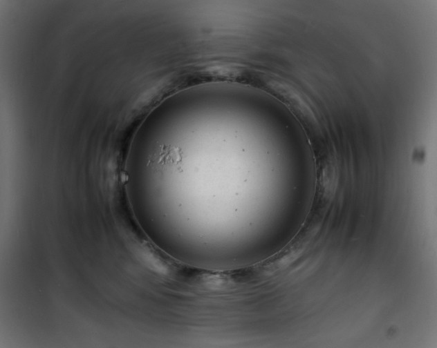 X0000101480424200807141419