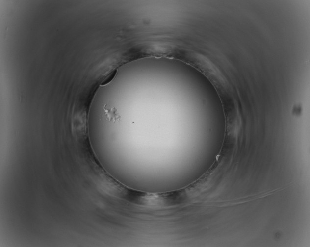 X0000101480425200807141419