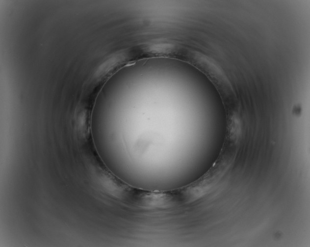 X0000101480428200807141419