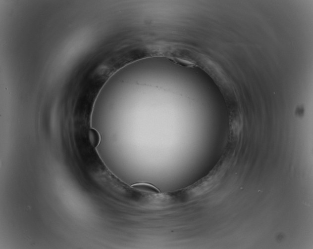 X0000101480429200807141419