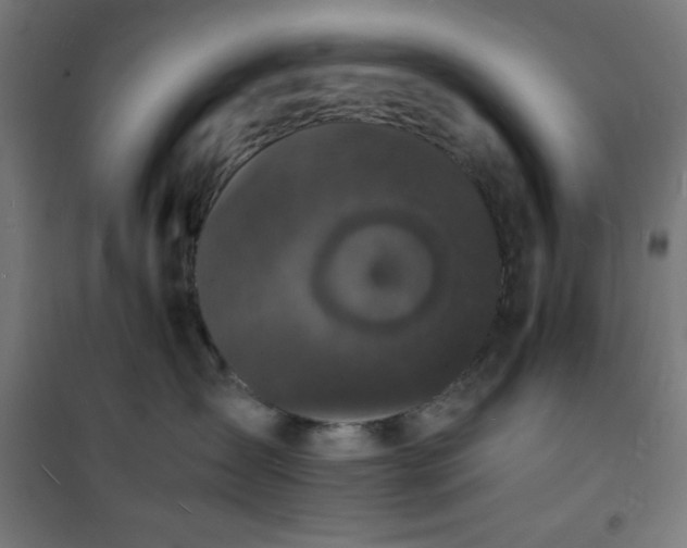 X0000101480431200807141419