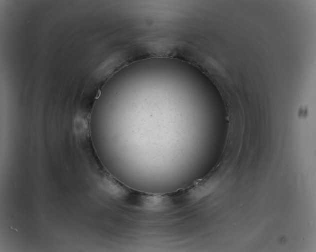 X0000101480432200807141419