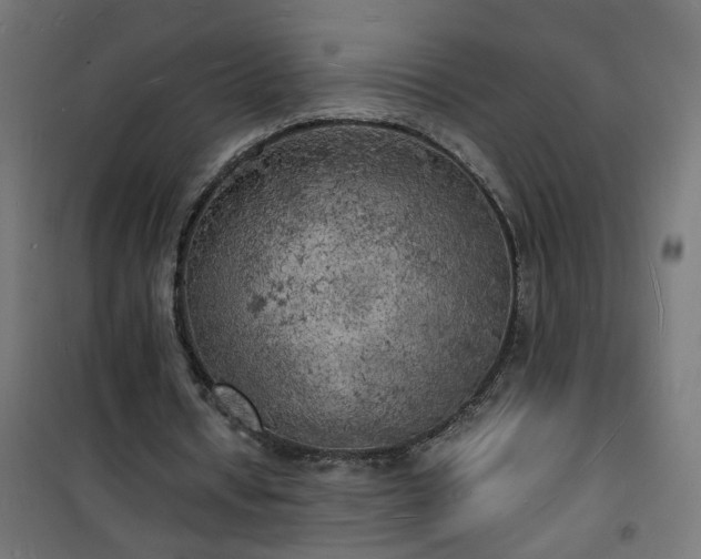 X0000101480434200807141418