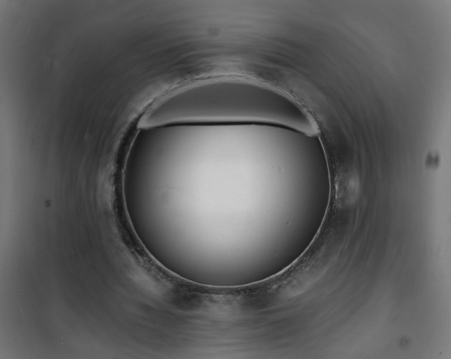 X0000101480436200807141418