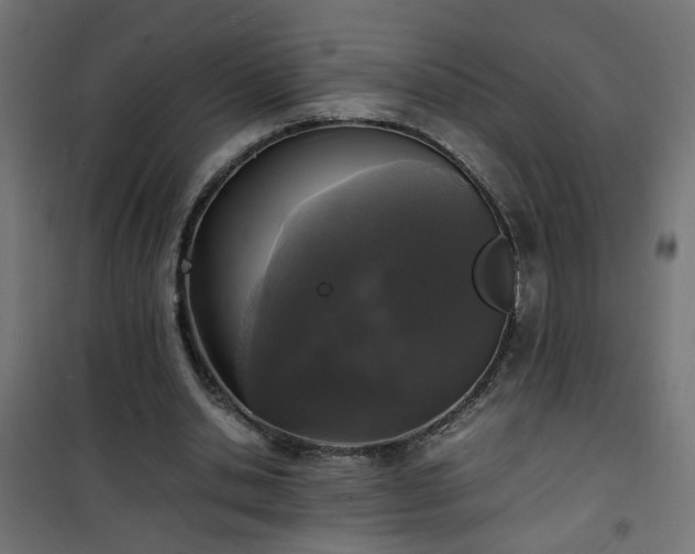 X0000101480438200807141418