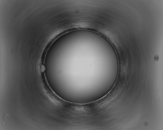 X0000101480439200807141418