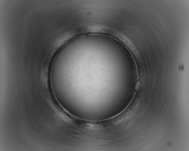 X0000101480442200807141418