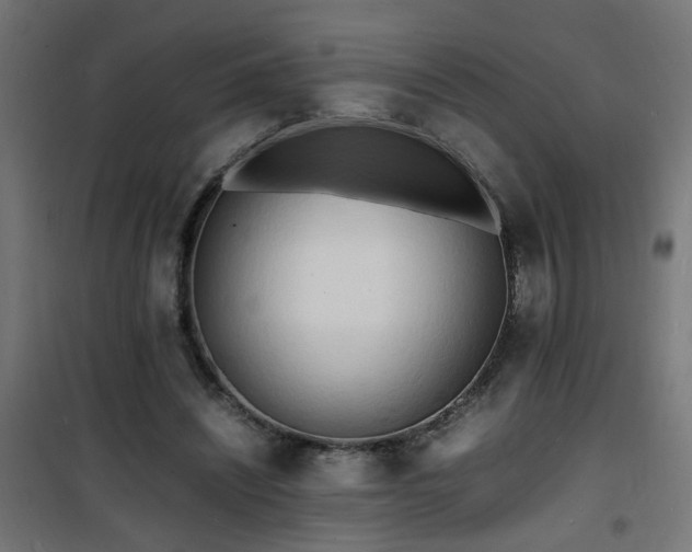 X0000101480444200807141418