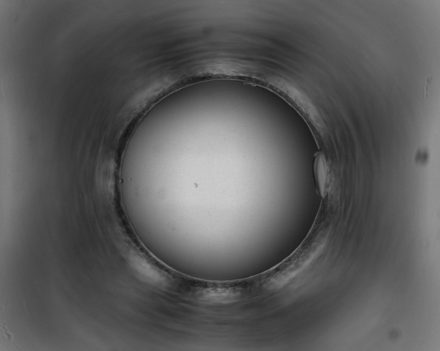 X0000101480445200807141418