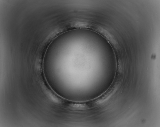 X0000101480449200807141418