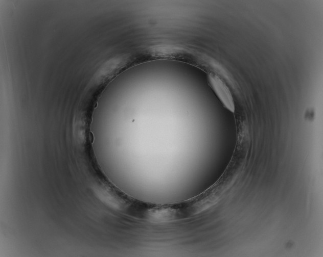 X0000101480452200807141418