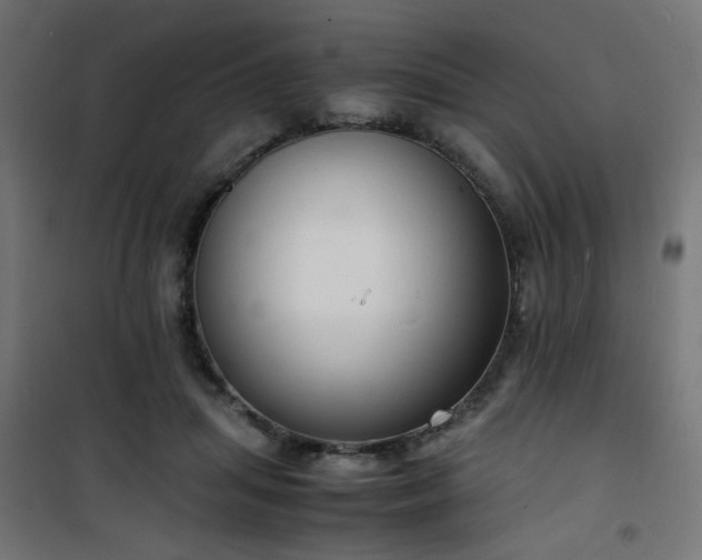 X0000101480455200807141418