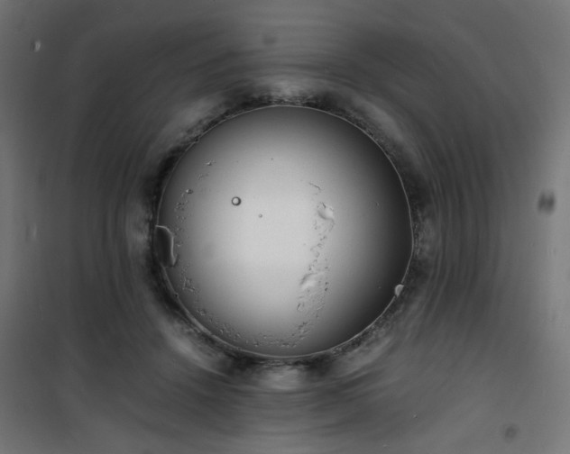 X0000101480456200807141419