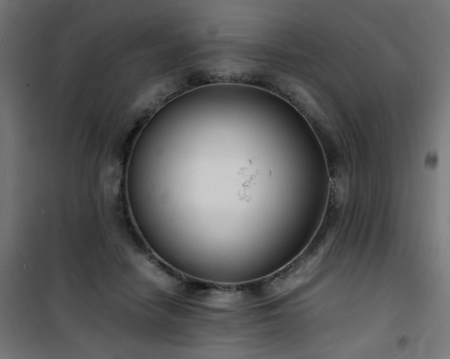 X0000101480458200807141419