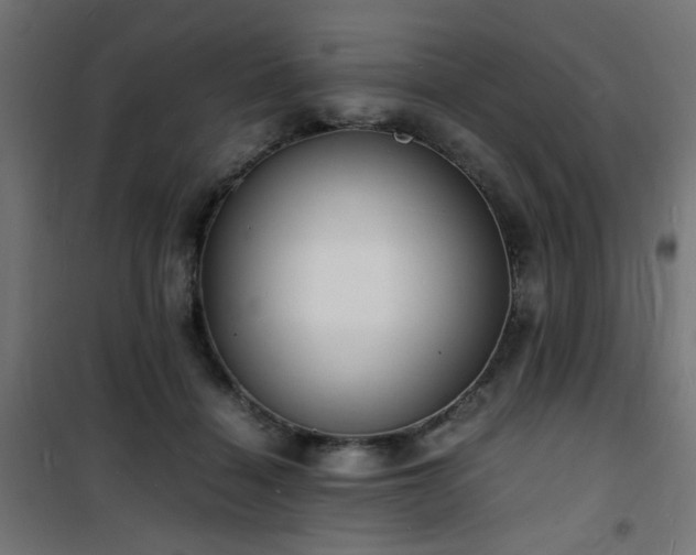 X0000101480460200807141419