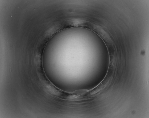 X0000101480461200807141419