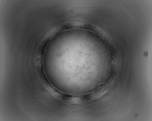 X0000101480462200807141419