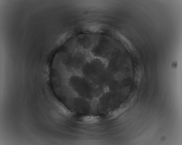 X0000101480465200807141419