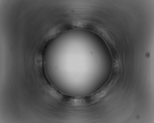 X0000101480466200807141419