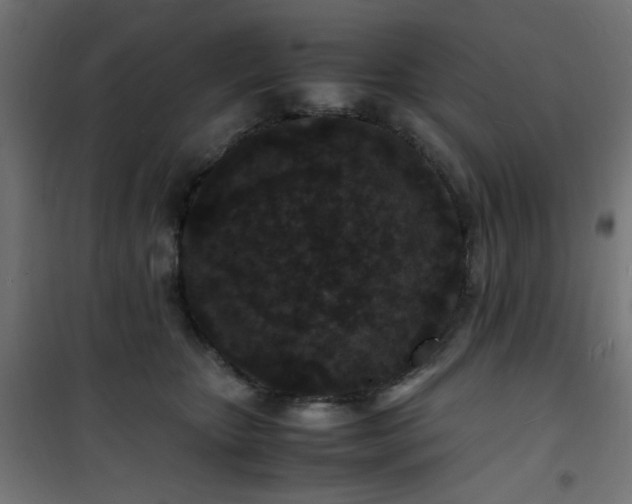 X0000101480467200807141419