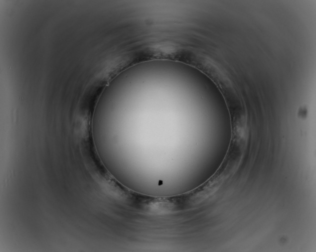 X0000101480468200807141419