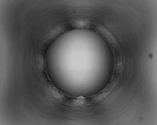 X0000101480469200807141419