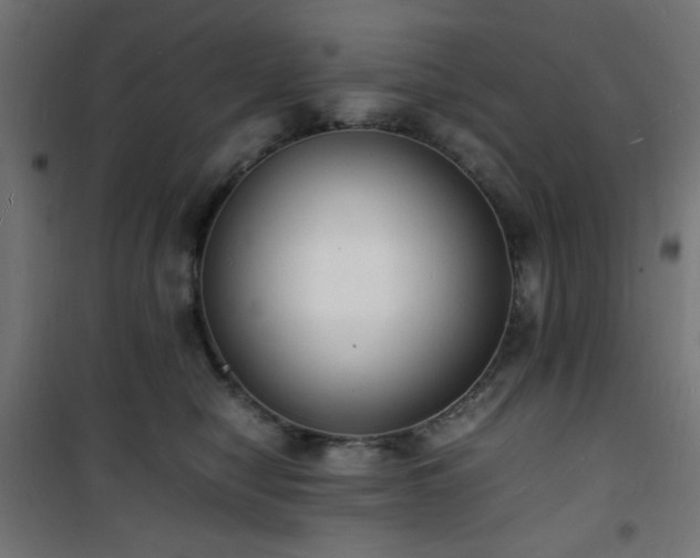 X0000101480470200807141419