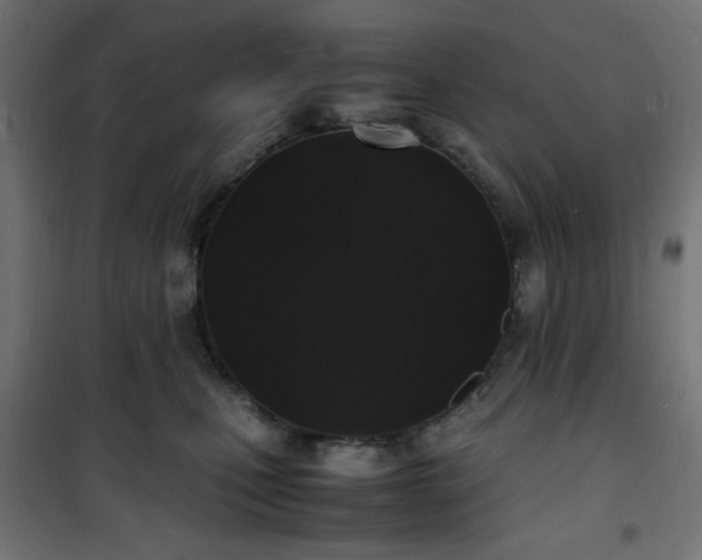 X0000101480471200807141419