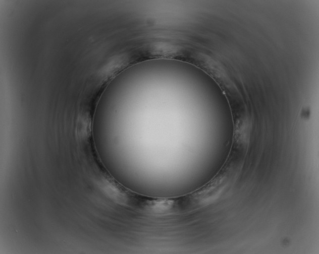 X0000101480474200807141419