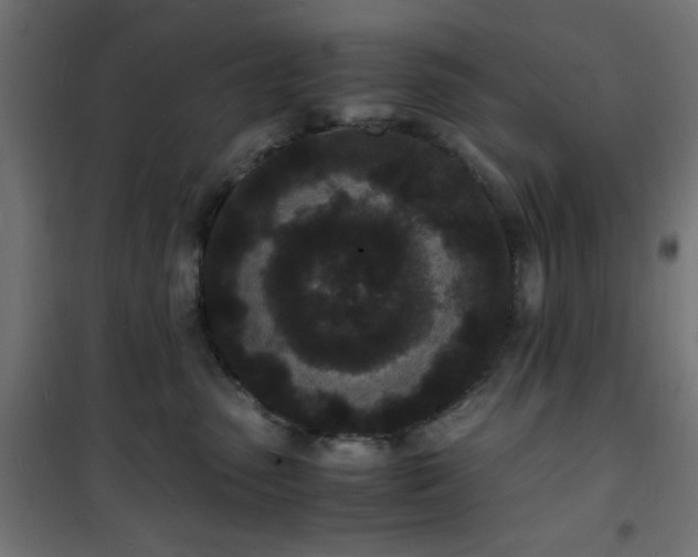 X0000101480475200807141419