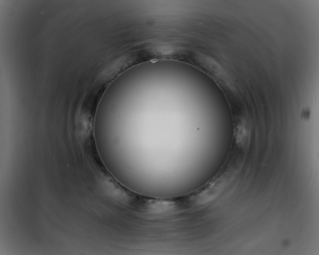 X0000101480476200807141419