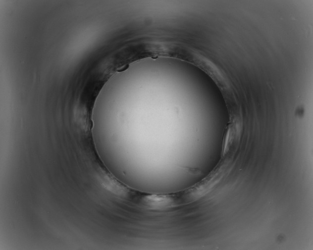 X0000101480477200807141419