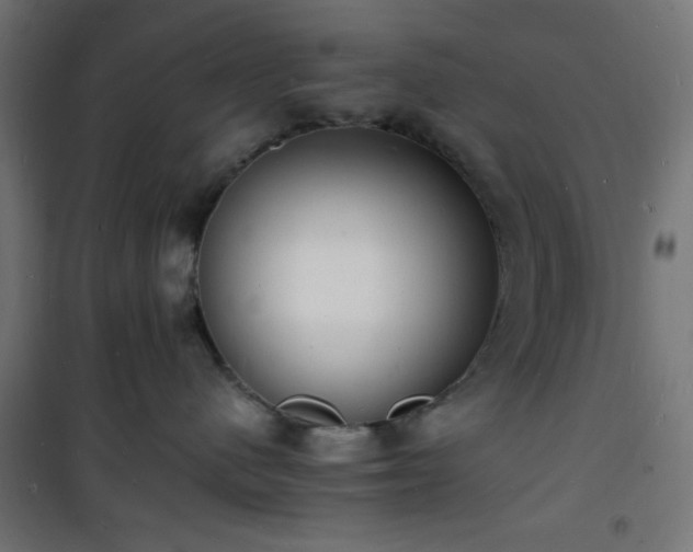 X0000101480480200807141419