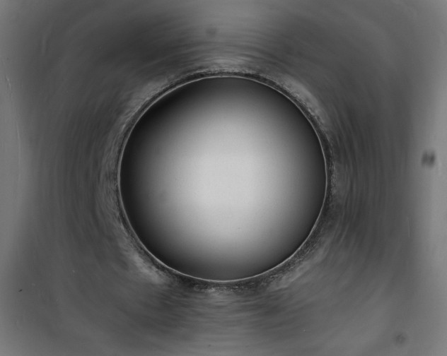 X0000101480481200807141418