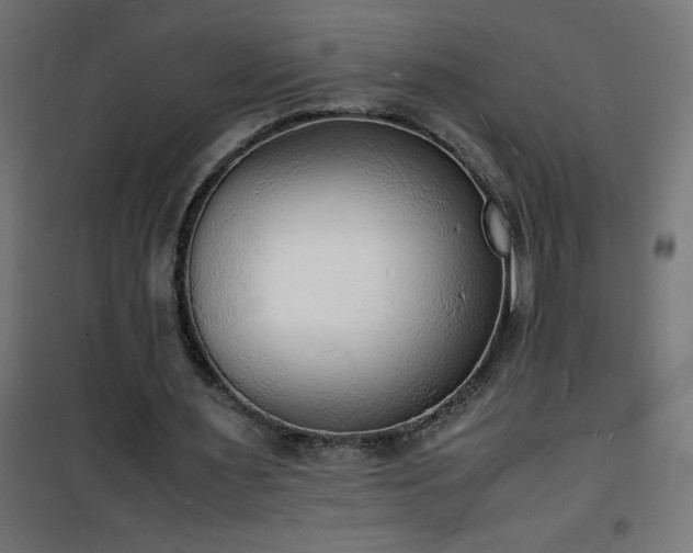 X0000101480483200807141418