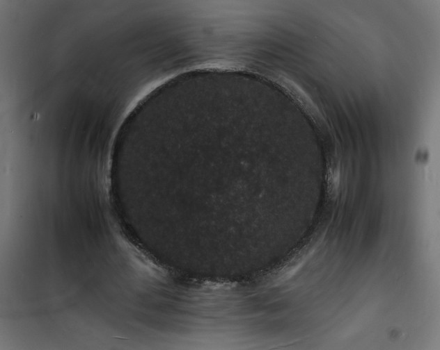 X0000101480484200807141418