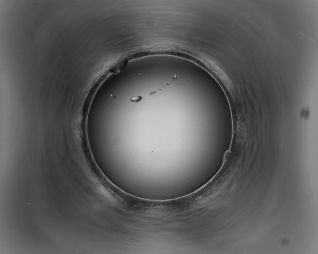 X0000101480485200807141418