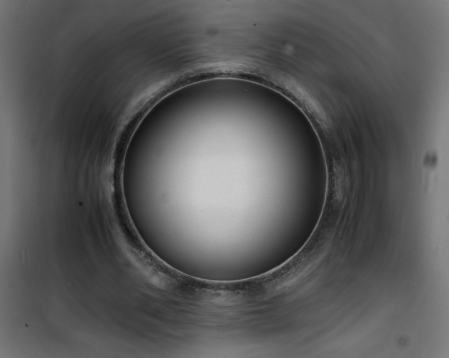 X0000101480486200807141418