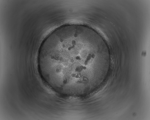 X0000101480487200807141418