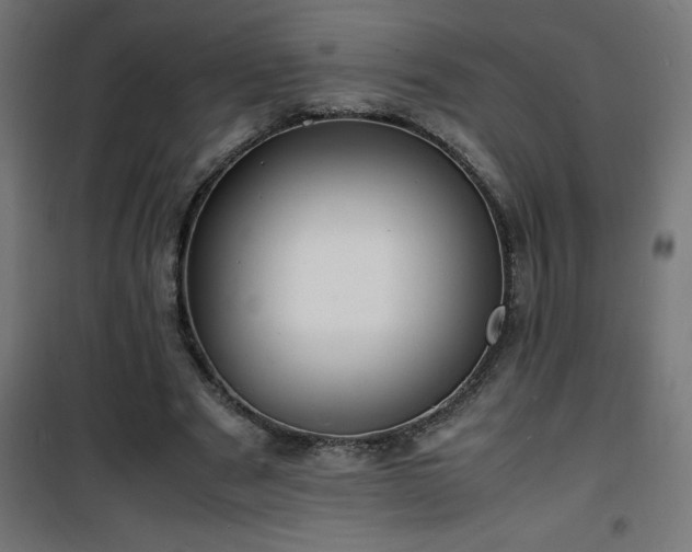 X0000101480489200807141418